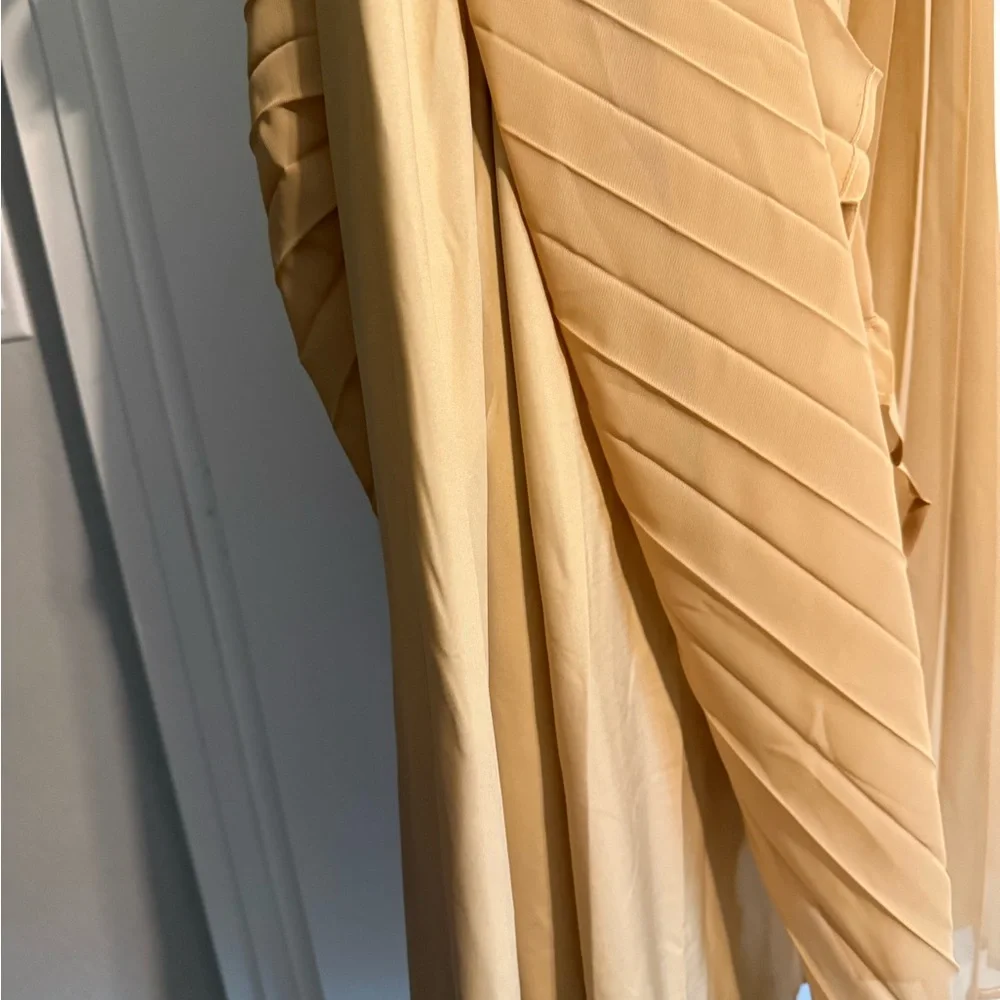 Gold Maxi Pleated Skirt - Picture 3 of 4